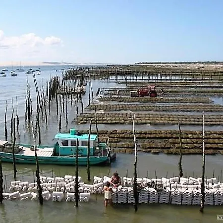 Apartment Arcachon: Studio Renove, Terrasse Avec Vue, Acces Plage, Parking Securise - Fr-1-420-11