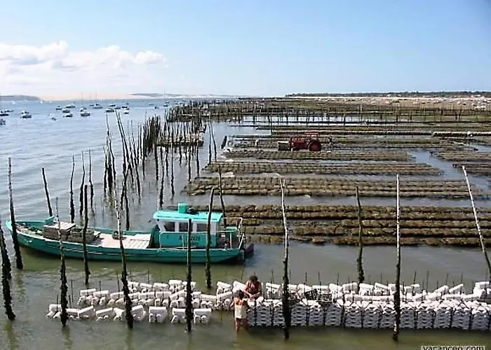 Апартаменты Arcachon: Studio Renove, Terrasse Avec Vue, Acces Plage, Parking Securise - Fr-1-420-11