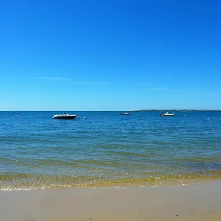 Apartment - Renove Avec Grande Terrasse, Acces Direct Plage, Parking - Fr-1-420-11 Arcachon