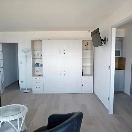 - Renove Avec Grande Terrasse, Acces Direct Plage, Parking - Fr-1-420-11 *
