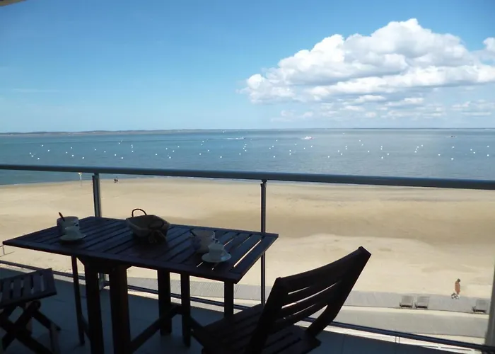 Arcachon: Renove, Terrasse Avec Vue, Acces Plage, Parking Securise - Fr-1-420-11 *