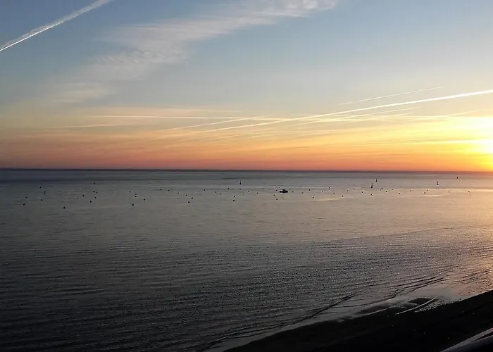 Arcachon: Studio Renove, Terrasse Avec Vue, Acces Plage, Parking Securise - Fr-1-420-11 Daire *